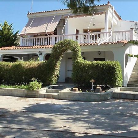 Гостьовий будинок Το Κτήμα Της Ελιάς Του Τάκη Paralia Demonias Екстер'єр фото